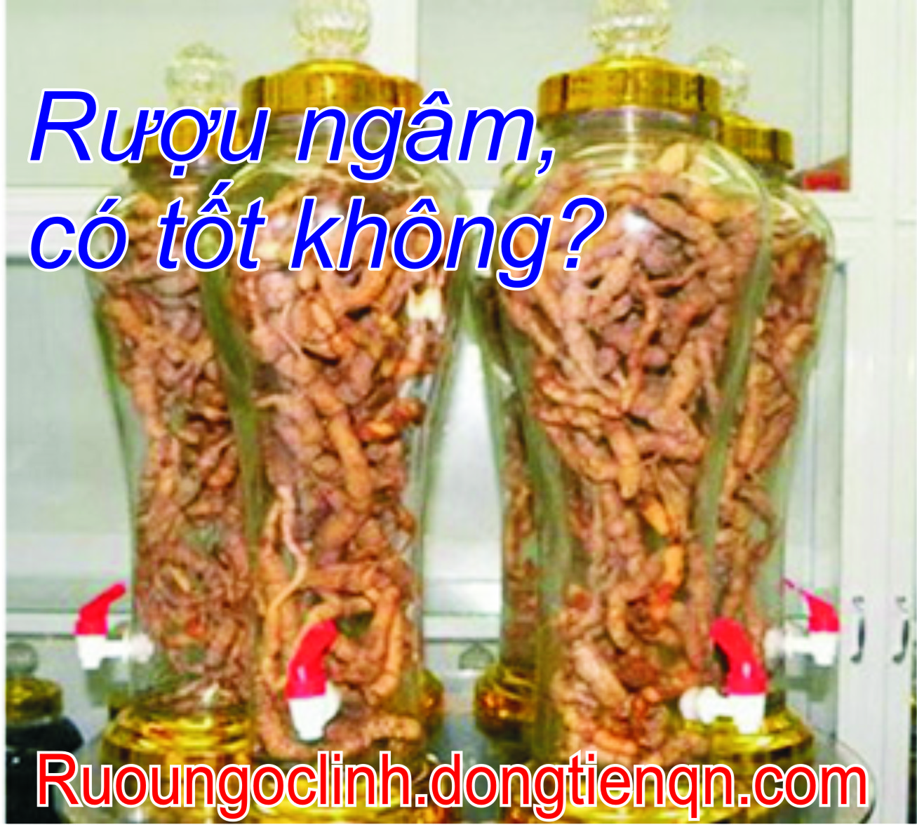 Rượu ngâm có tốt không