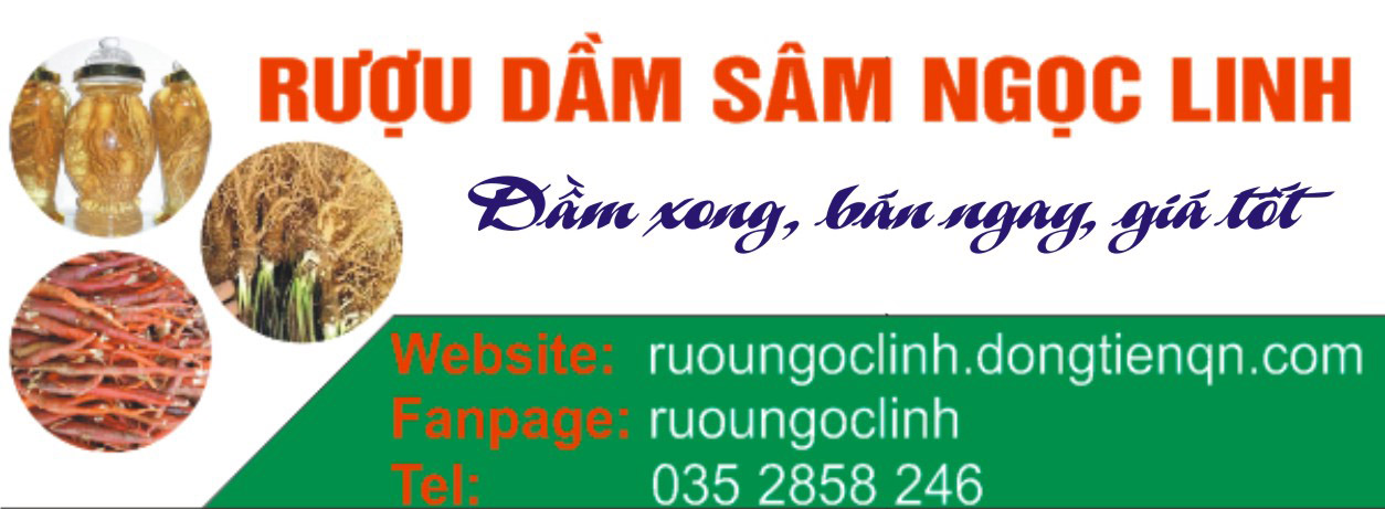 Mua sâm ngâm rượu